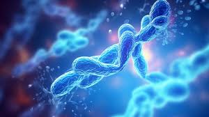 Biology Course